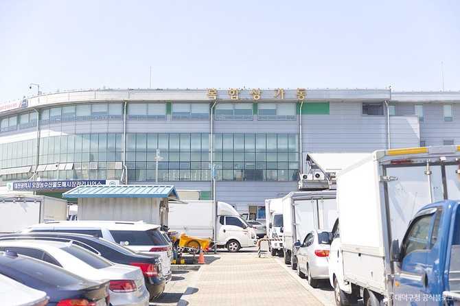 대전 오정농수산물도매시장 가격 정보와 위치 안내 6