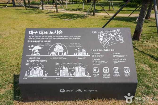 Discover Daegu's Iconic Urban Forest - image 9