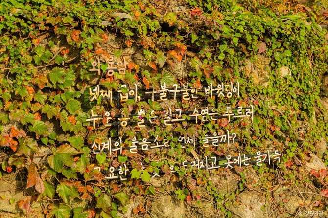 속초 상도문돌담마을 여행 가이드: 아름다운 돌담길과 전통 문화 체험 14