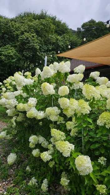 Discover the Best Natural Retreat - image 8
