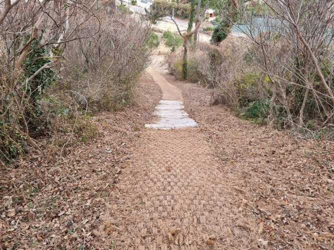 Discover Gaisooreum - image 7