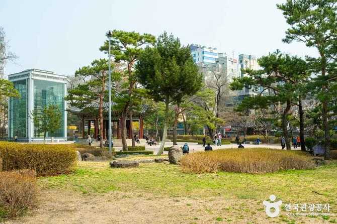 탑골공원: 역사와 문화가 살아 숨 쉬는 서울의 대표 유적지 14