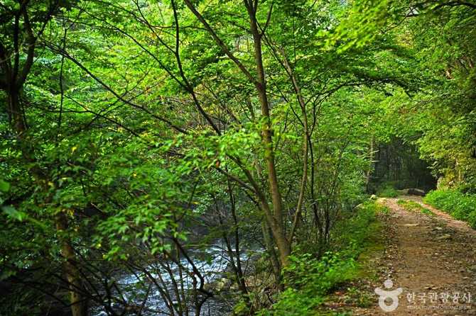 전북 장수 덕산계곡 여행 가이드 및 절경 명소 소개 7