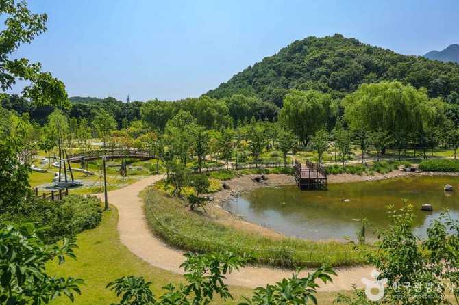 Discover Daegu's Iconic Urban Forest - image 12