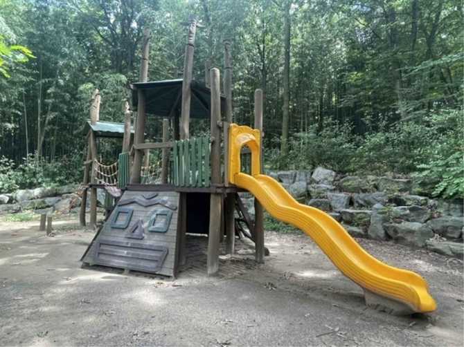 Discover Daechung Valley Bamboo Forest - image 8
