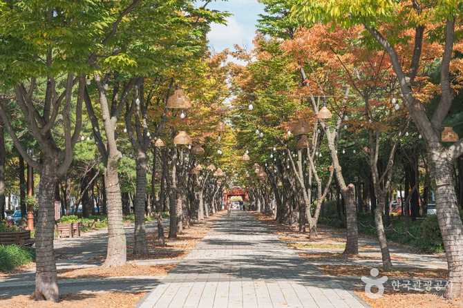 Discover Boramae Park in Daejeon - image 7