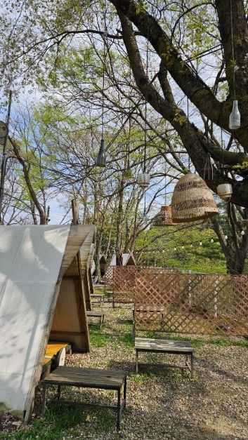 Discover the Best Natural Retreat - image 7