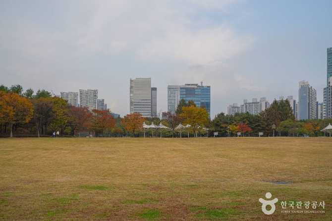 Discover Nanjicheon Park - image 8