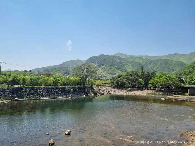 Discover Dapo Forest - image 7