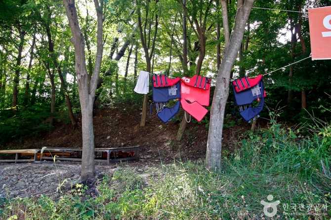 Experience Healing Nature at Yongdam - image 8