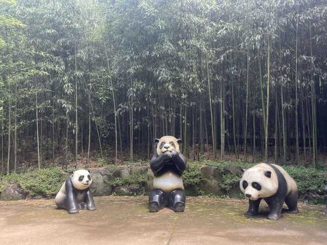 Discover Daechung Valley Bamboo Forest - image 7