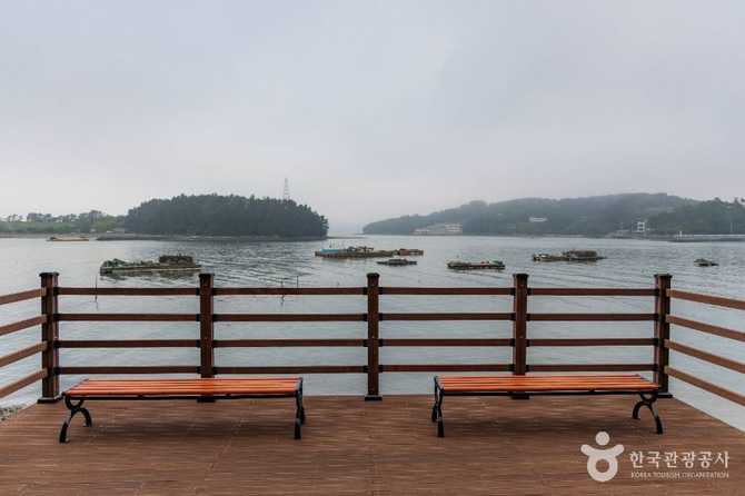 Discover Bito Marine Fishing Park - image 7