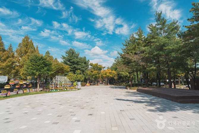 Discover Boramae Park in Daejeon - image 10