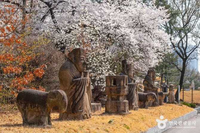 세종대왕박물관 방문 가이드 및 핵심 정보 15