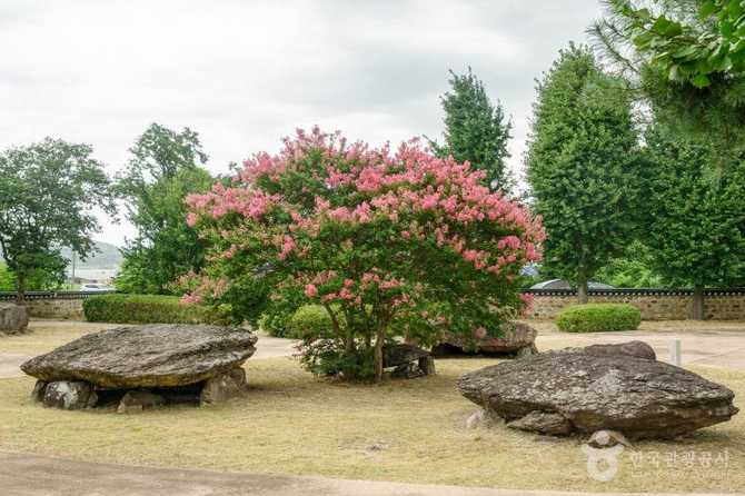 Discover the Bonan Guhamri Dolmen - image 8