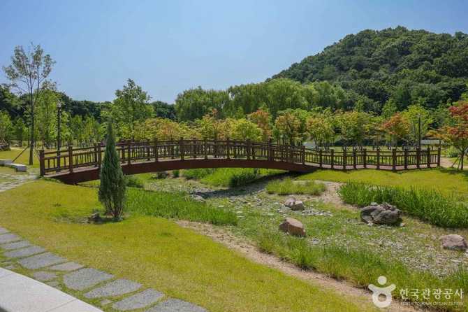 Discover Daegu's Iconic Urban Forest - image 13