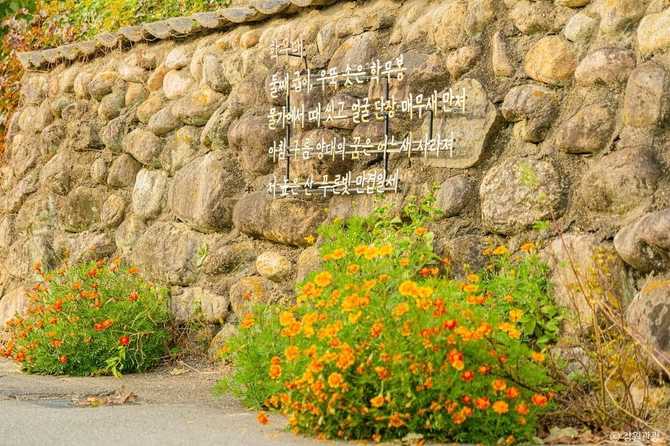 속초 상도문돌담마을 여행 가이드: 아름다운 돌담길과 전통 문화 체험 16