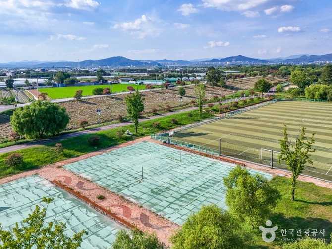 Discover Dasan Cultural Park - image 2