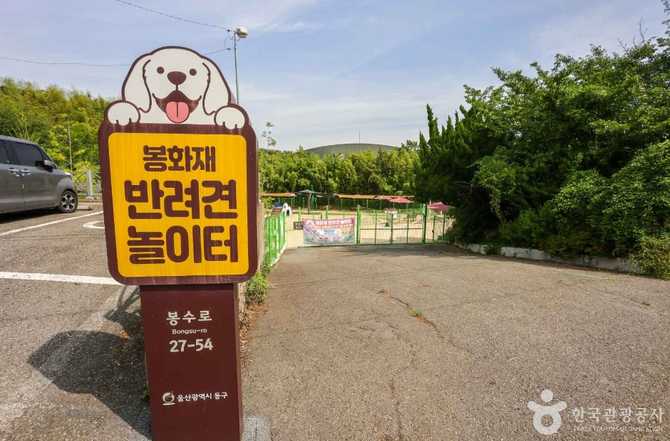 울산 동구 봉화재 반려견 놀이터 정보와 이용 가이드