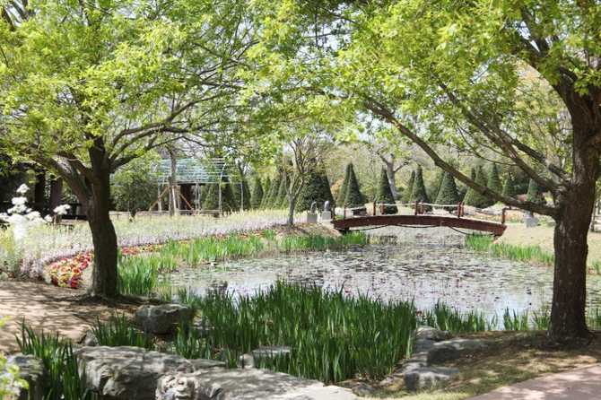 Discover 1004 Islands Bonsai Garden - image 3