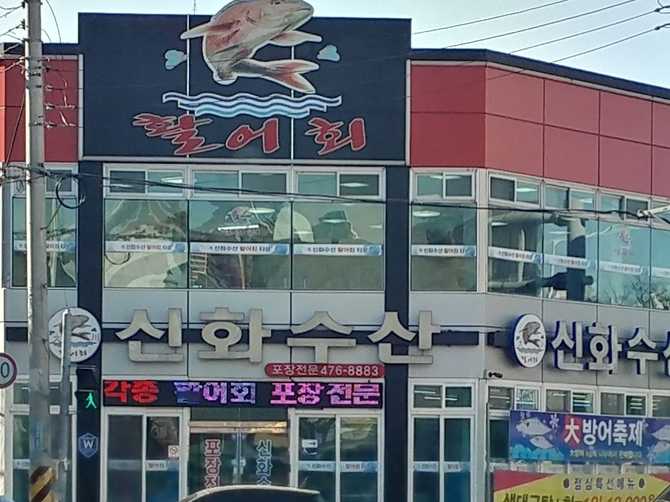 대전 중구 신화수산활어회타운, 신선한 생선회와 해산물 맛집 안내