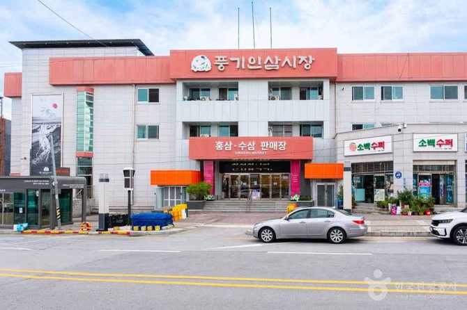 풍기인삼시장: 국내 대표 인삼 시장과 축제 정보