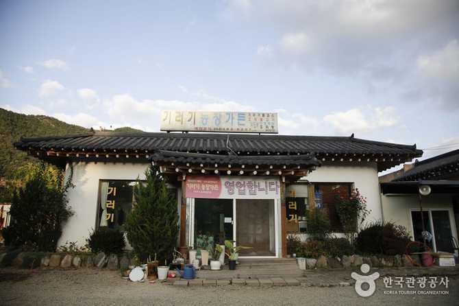 경상북도 군위군 기러기농장가든, HACCP 인증 사료로 안전하게 기러기 요리 즐기기 1