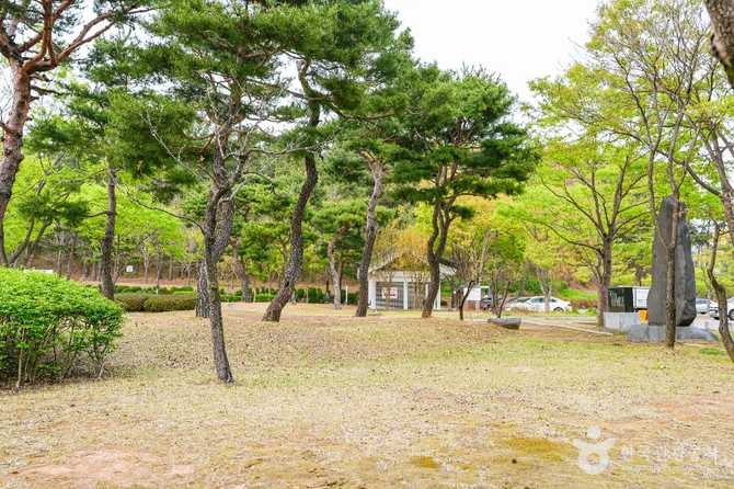 경주시 흥무공원, 김유신 장군 묘 인근의 휴식 명소 소개