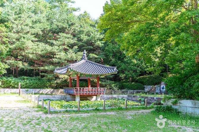 경기도 고양시 일산의 정발산공원, 자연과 휴식을 동시에 즐기기 좋은 명소