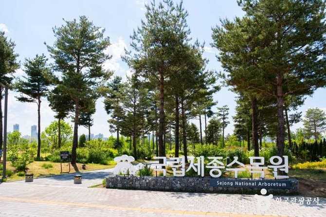 국립세종수목원: 도심 속 자연 체험과 다양한 정원 전시를 즐기세요