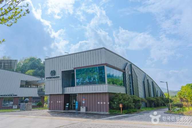 평창돌문화체험관: 강원 평창의 수석 문화와 자연경관을 만나는 특별한 공간
