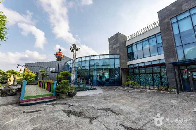 제주해양동물박물관 가이드: 해양생물 체험과 교육의 명소