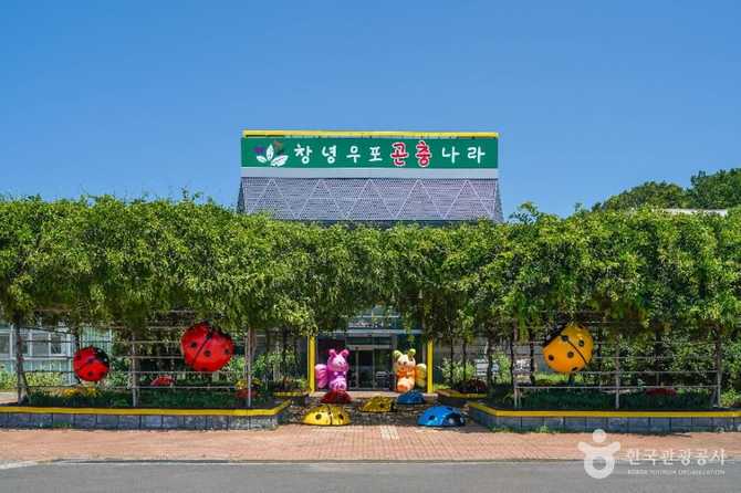 창녕우포곤충나라: 자연생태 체험과 교육의 명소