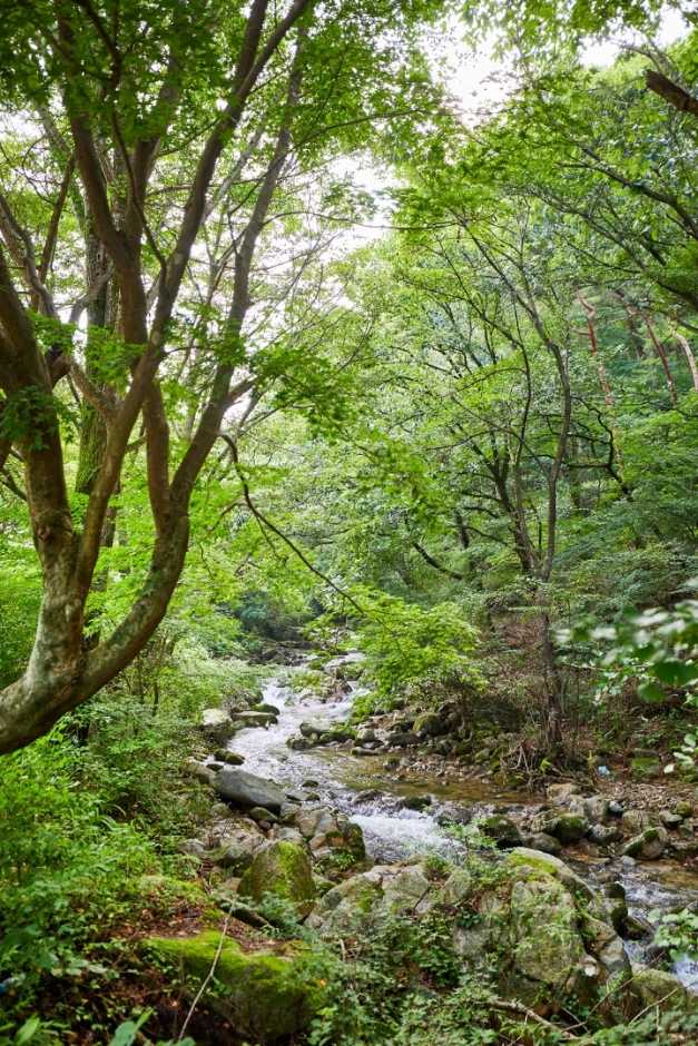 전북 김제 모악산도립공원 안내 및 관광 정보