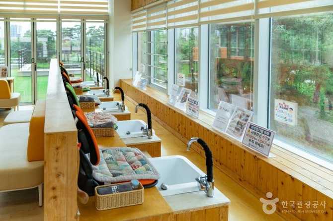 증평인삼문화센터: 인삼의 역사와 체험을 한 곳에서 즐기기