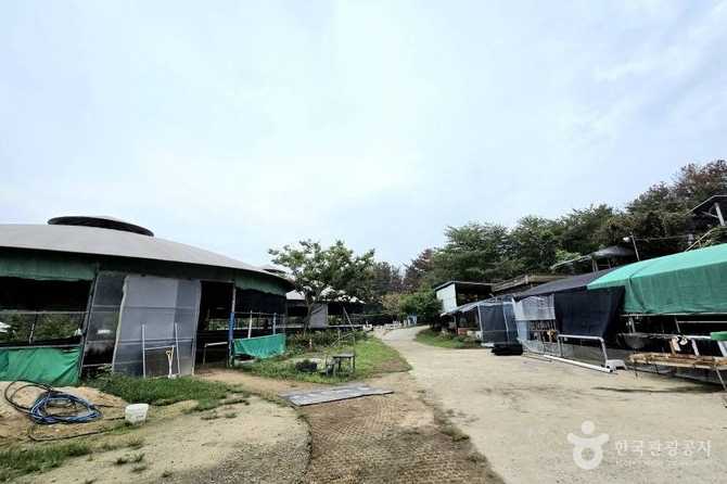 포항동해승마장 이용 가이드 및 체험 정보 2