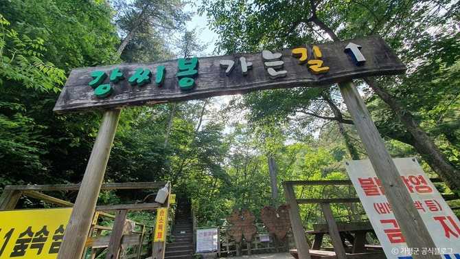 경기도 가평 강씨봉자연휴양림 소개 및 이용 정보 2