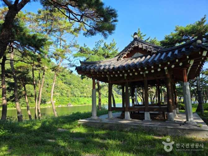 나주 드들강솔밭유원지, 자연 속 힐링과 휴식을 동시에 즐기기 2