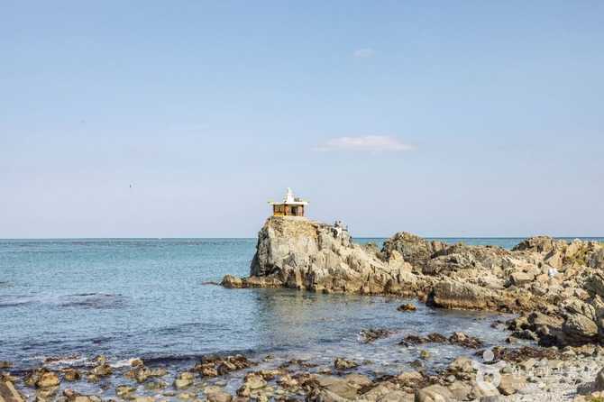 Explore Busan Osiria Coastal Walkway - image 4