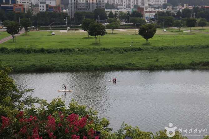 Explore Taehwagang National Garden - image 2