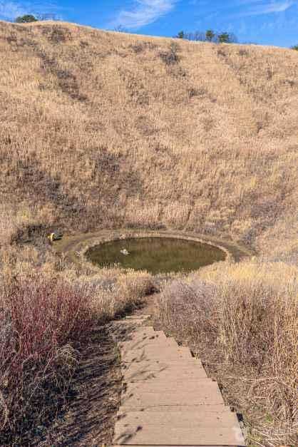 Discover the Beauty of Mt. - image 1