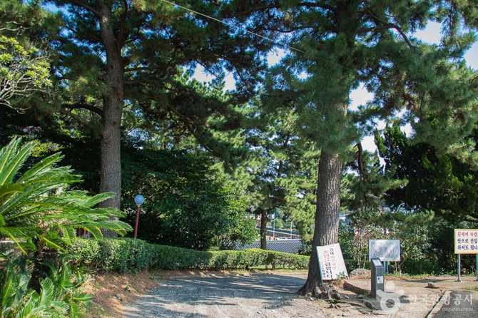 제주 약천사: 역사와 관광, 템플스테이 정보 총정리 3
