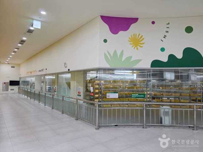 Imsil Cheese Theme Park - image 7
