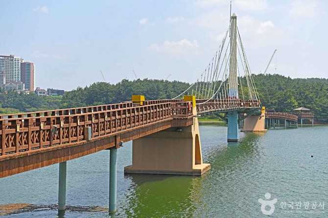 Discover Eunpyeong Water Light Bridge - image 2