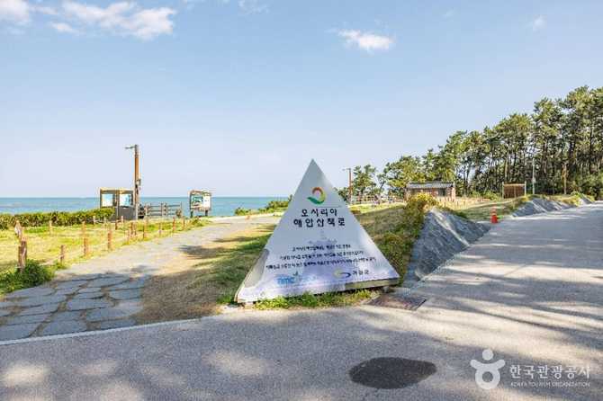 Explore Busan Osiria Coastal Walkway - image 3