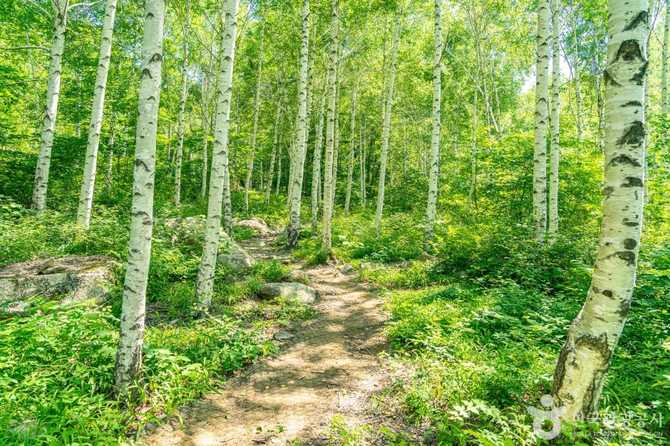 Discover the Beauty of Yeongyang - image 2