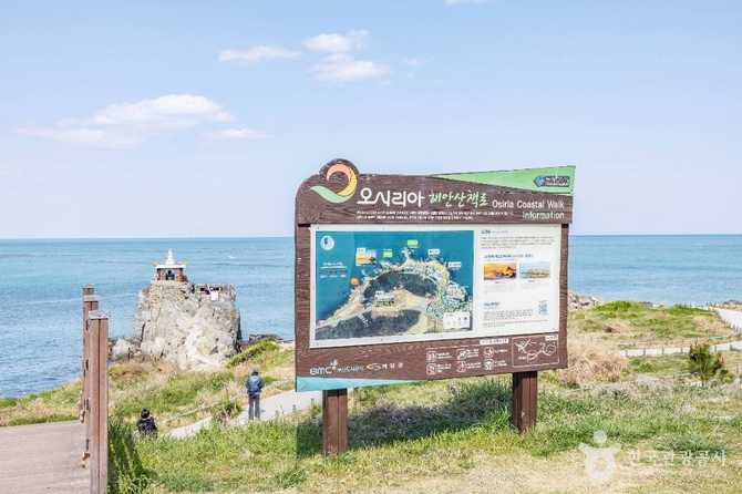 Explore Busan Osiria Coastal Walkway - image 2