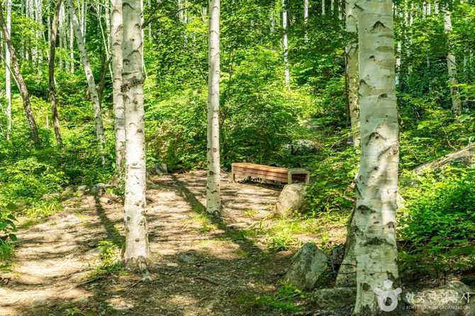 Discover the Beauty of Yeongyang - image 3