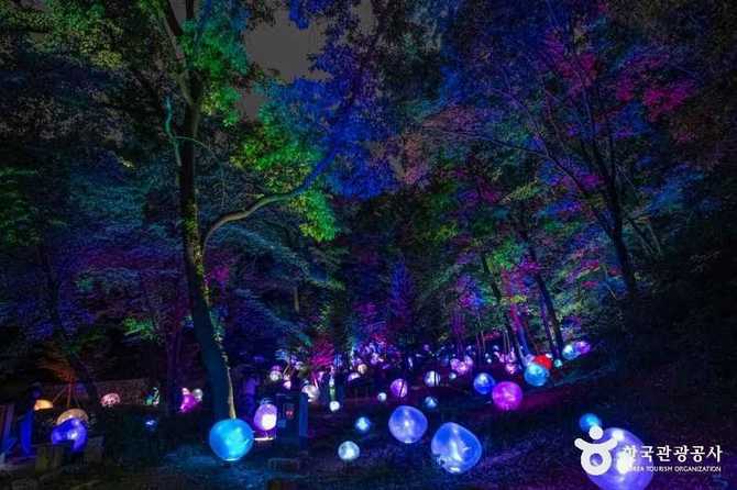 Discover Bucheon Natural Ecology Park - image 4