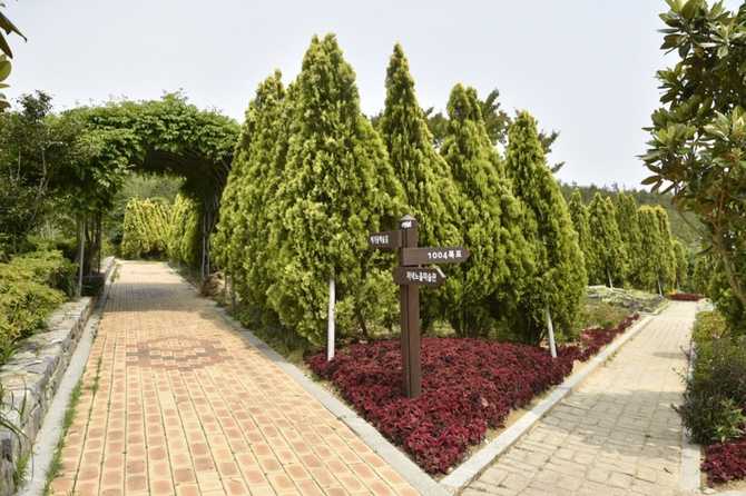 Discover 1004 Islands Bonsai Garden - image 5